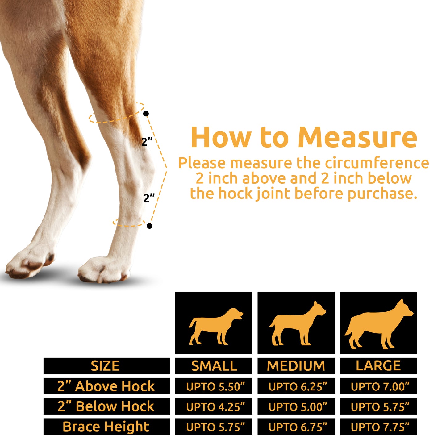 NUTUCH Dog Leg Brace | Dual Metal Strips and Safety Reflective Straps | Hock Brace for Back Legs | Joint Compression Wrap for Recovery, Support Hind Legs Injuries, Sprain Injury Protection