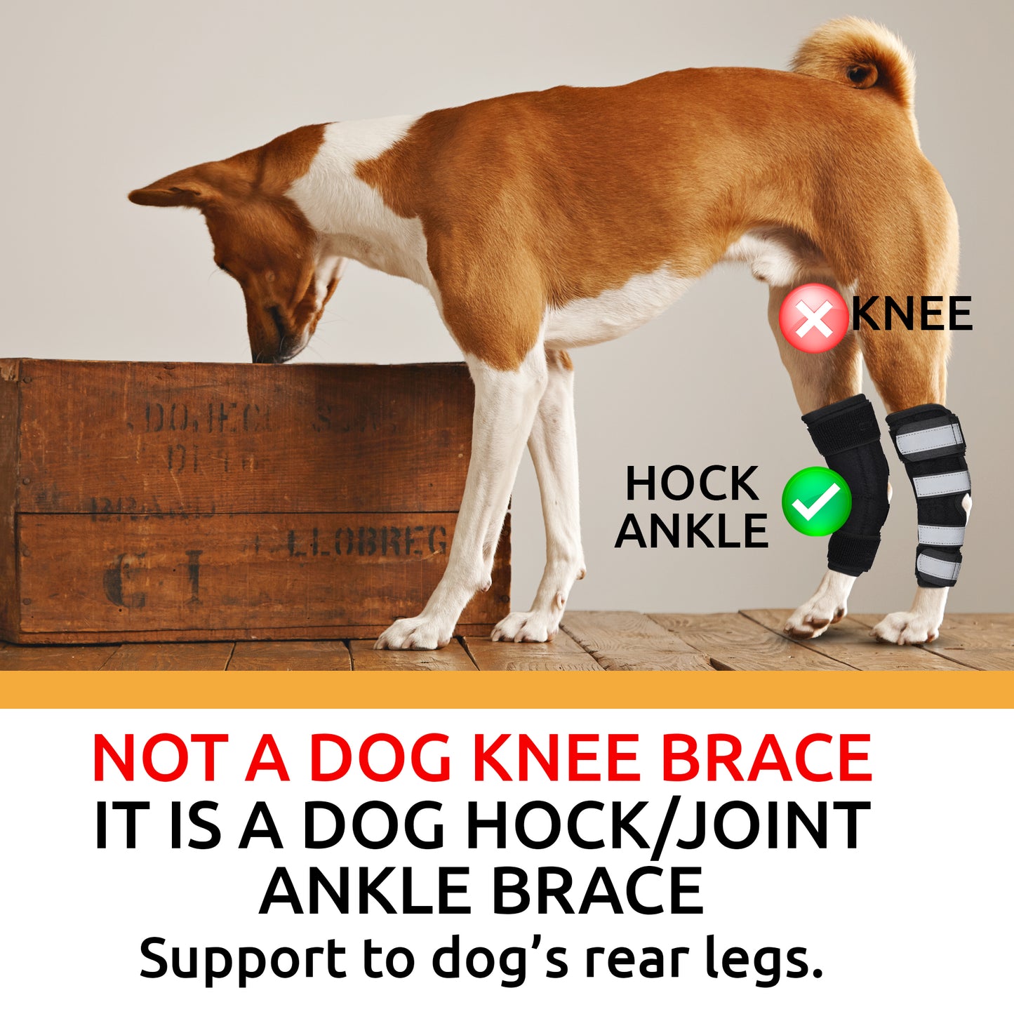 NUTUCH Dog Leg Brace | Dual Metal Strips and Safety Reflective Straps | Hock Brace for Back Legs | Joint Compression Wrap for Recovery, Support Hind Legs Injuries, Sprain Injury Protection