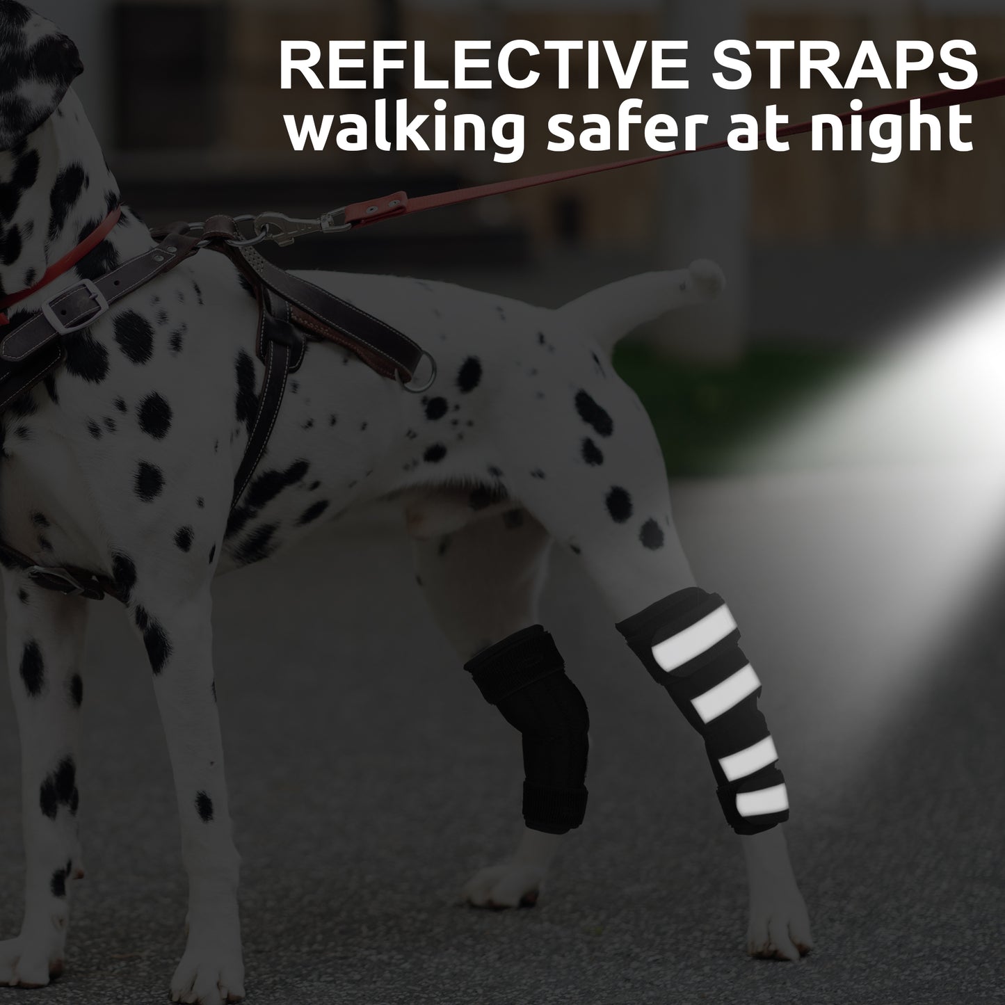 NUTUCH Dog Leg Brace | Dual Metal Strips and Safety Reflective Straps | Hock Brace for Back Legs | Joint Compression Wrap for Recovery, Support Hind Legs Injuries, Sprain Injury Protection